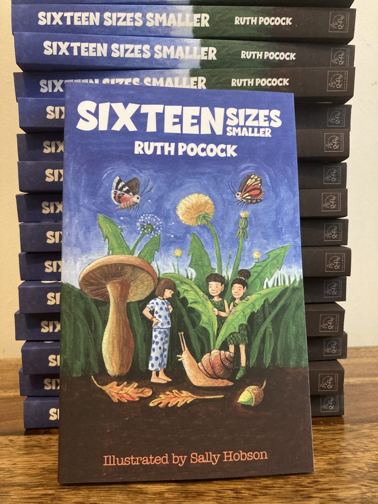 Stack of books showing the cover of Sixteen Sizes Smaller - the main aspect of the write section.