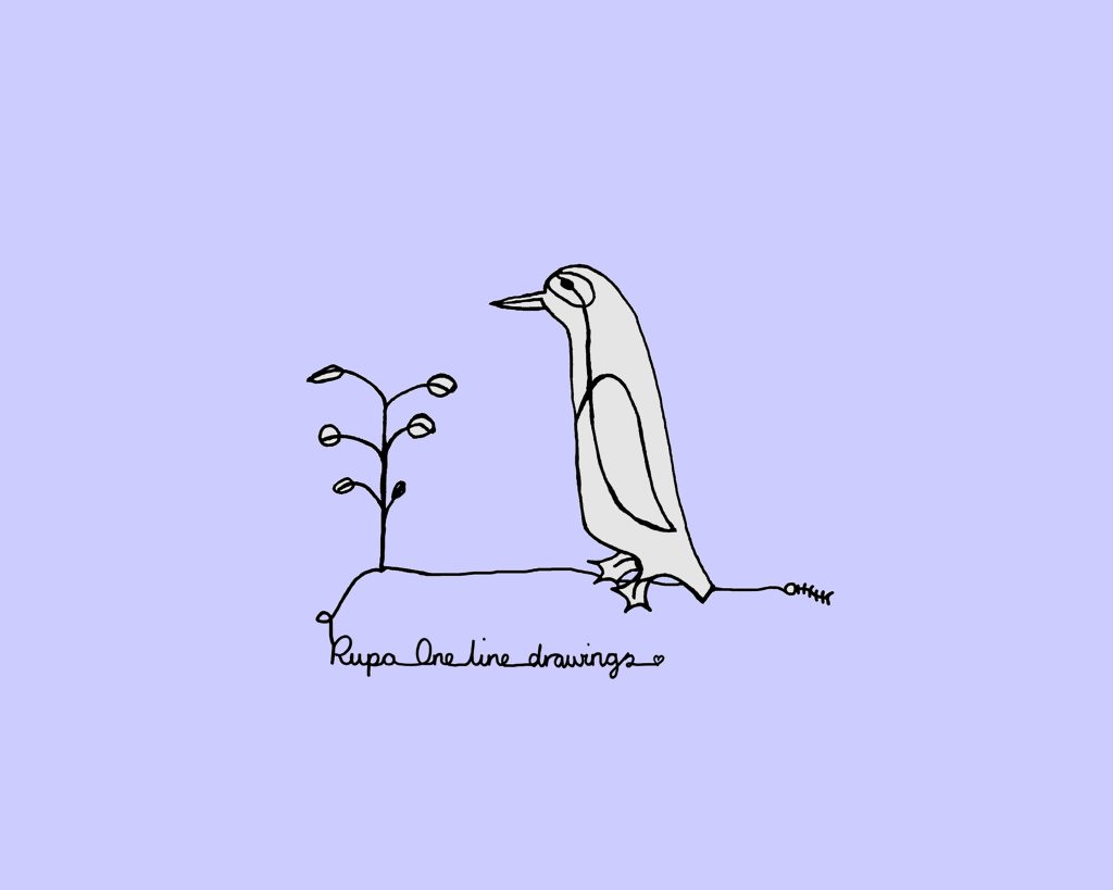 Design | Ruth Pocock
